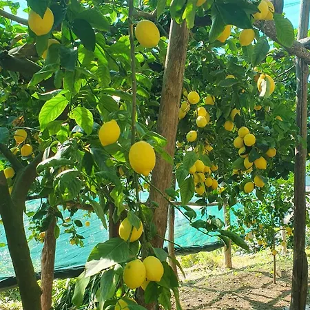 Διαμέρισμα La Capannetta *